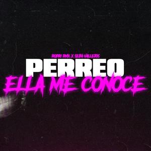 PERREO ELLA ME CONOCE (feat. DJ Seba Vallejos)