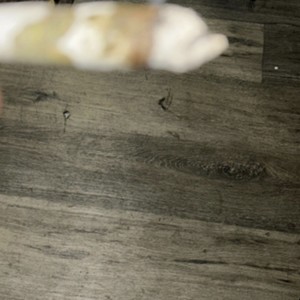 Head Shot Gang (Explicit)