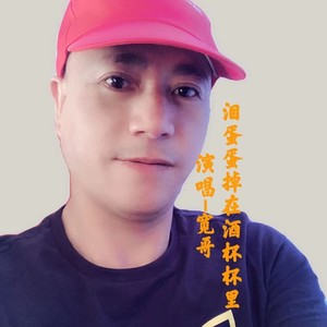 泪蛋蛋掉在酒杯杯里