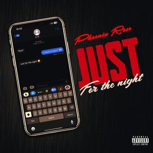 Just for the night (Explicit)