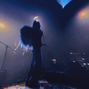 Your Discretion (Explicit)