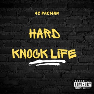 Hard Knock Life (Explicit)