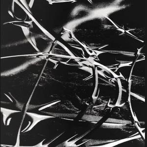 EUROPE FREESTYLE (Explicit)