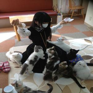 make it up (Explicit)