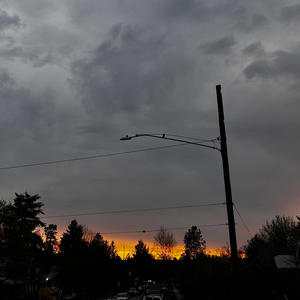 We Just Like The Same Music (feat. 2PipedUp) (Explicit)