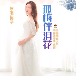 孤梅伴泪花