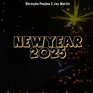 NewYear (feat. Jay Martin) (Explicit)
