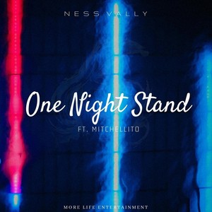 One Night Stand(feat. Mitchellito)