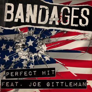 Perfect Hit (feat. Joe Gittleman) [Explicit]