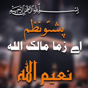 Zar De Da Roze Shama