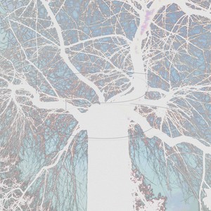 Le début des drames