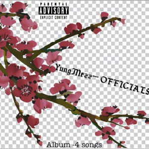 OFFICIALS (Explicit)