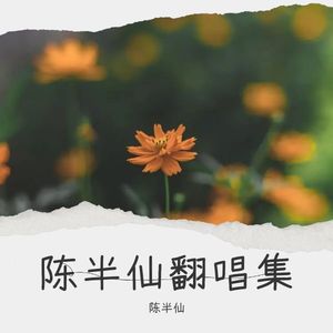 陈半仙翻唱集