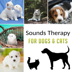 Sounds Therapy for Dogs & Cats: Music to Relax & Calm Down Your Pets, Stress Reduction, Anxiety Free, Nature Sounds for Pets Comfort