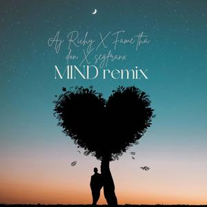Mind (feat. Fame Tha Don & Segfranx) (Remix)