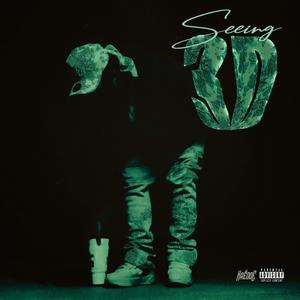 Seeing 3D (Explicit)