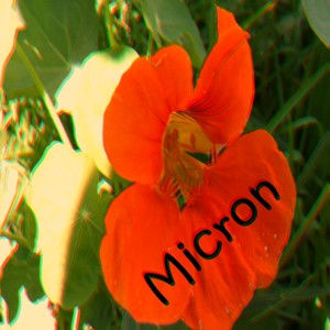 Micron