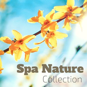 Spa Nature Collection - 30 Tracks with Delicate Sounds of Nature & Birds Chirping