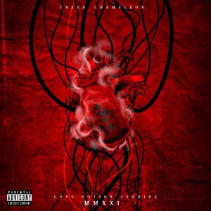 Cruising(feat. Analog Dive) (Explicit)