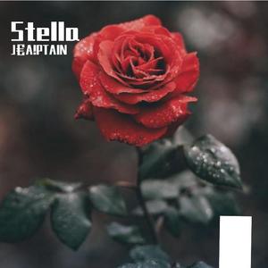 Stella