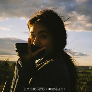 怎么说我不爱你 (DJ感觉至上)-DJ.SmartD