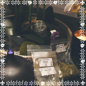 Mullein Tea (feat. Crispo Dinero) (Explicit)