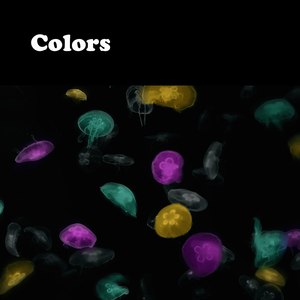 Colors