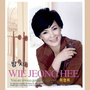 당신은 바보야 (你是傻瓜)