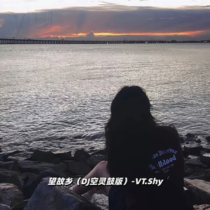望故乡 (DJ空灵鼓版)
