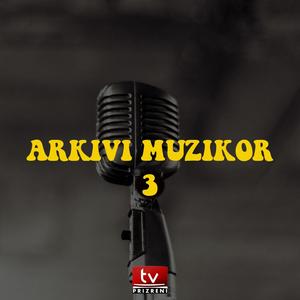 TV Prizreni Arkivi Muzikor