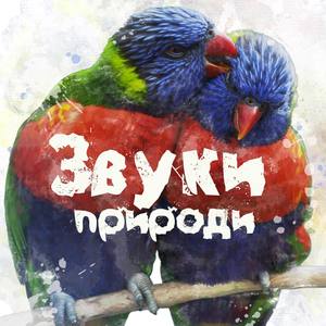 Воздушные белые облака