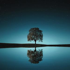 J'avais juste envie d'écrire