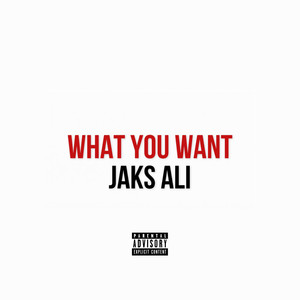 What You Want (Explicit)