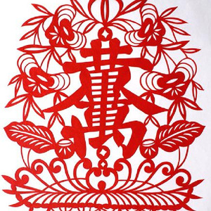 黄金万两之弟弟永远是弟弟