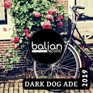 Dark Dog Ade 2019