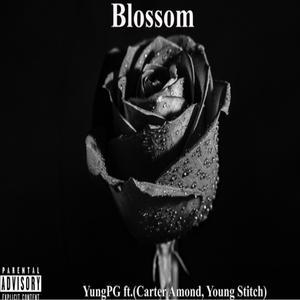 Blossom(feat. Carter Amond & Young Stitch) (Explicit)