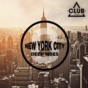 New York City Deep Vibes, Vol. 8