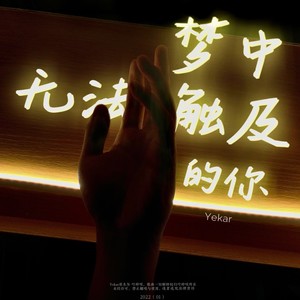 梦中无法触及的你