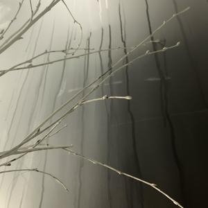 This Far (feat. mikeAl0ne & Fujiiro) (Explicit)