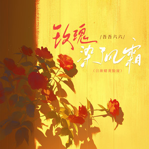 玫瑰染了风霜(日渐蜡黄脸庞)