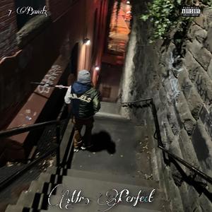 Mr. Perfect (Explicit)