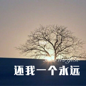 还我一个永远封面