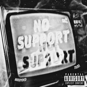 No Support (feat. TiiJEi) [Explicit]