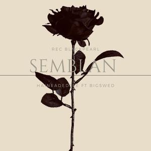 Semblant (feat. BigSwed) (Explicit)