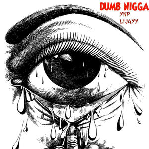 Dumb Nigga! (Explicit)