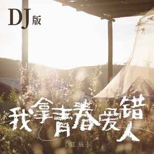 我拿青春爱错人 (DJ版伴奏)
