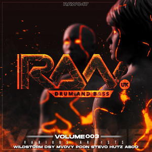 RAW Va Vol 3