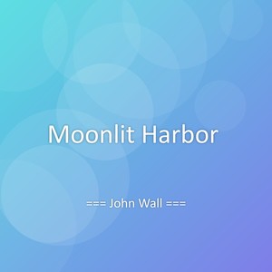 Moonlit Harbor