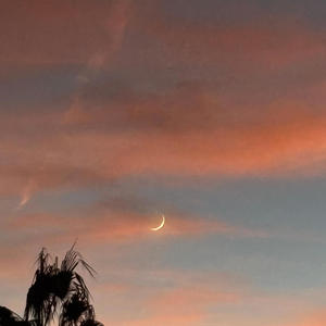 Glass Roaches - i never meant to hurt you