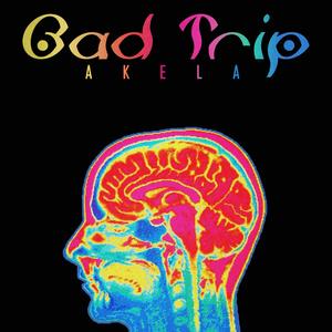 Bad Trip (Explicit)